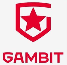  DOTA2:Gambit战队更换队标再起航，正在筹划新阵容名单