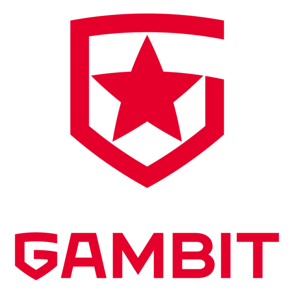  龙魂电竞-CSGO IEM2021卡托维兹NaVi对抗Gambit IEM最佳选手顶尖对决 | 龙魂电竞